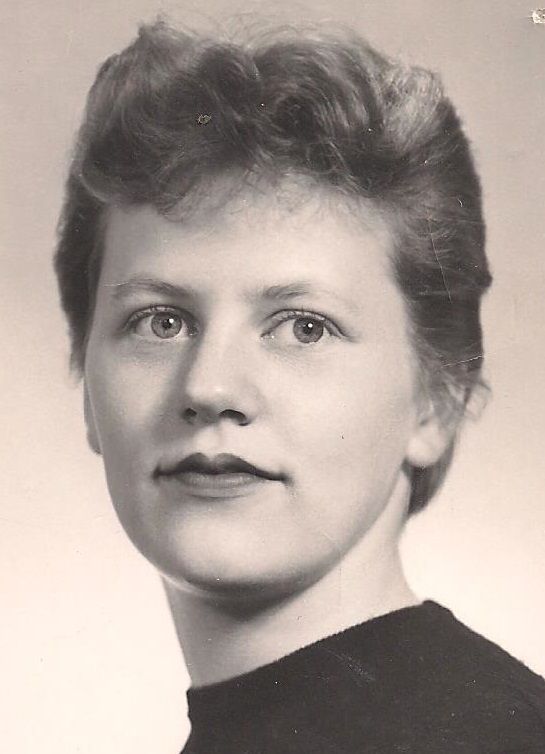 Nancy J. Gibney